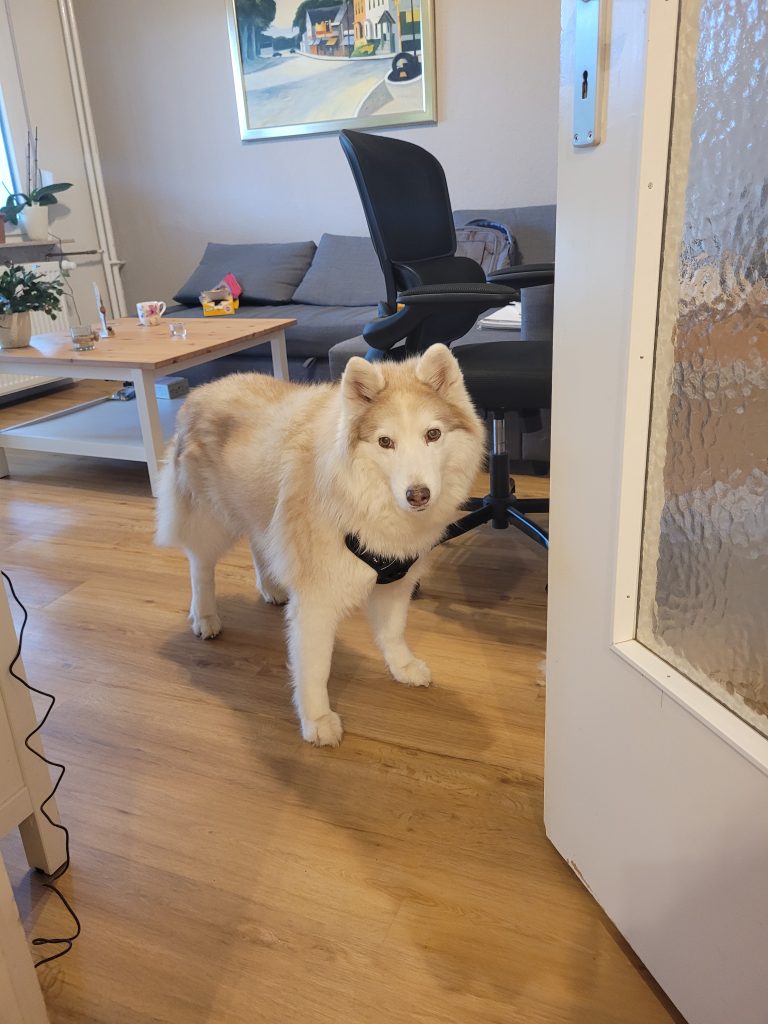 Tya im Wohnzimmer