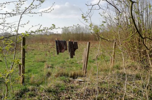 Wäsche im Nirgendwo