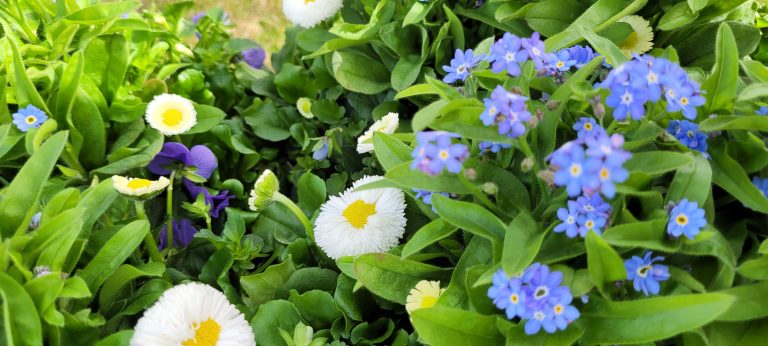 Balkon im Frühling