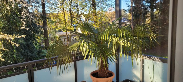 Stillstand im Alltag mit 60 – oder was?